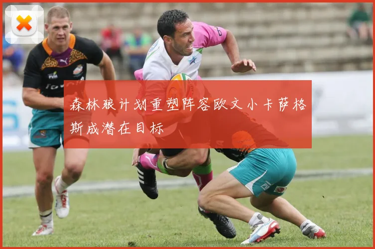 森林狼计划重塑阵容欧文小卡萨格斯成潜在目标